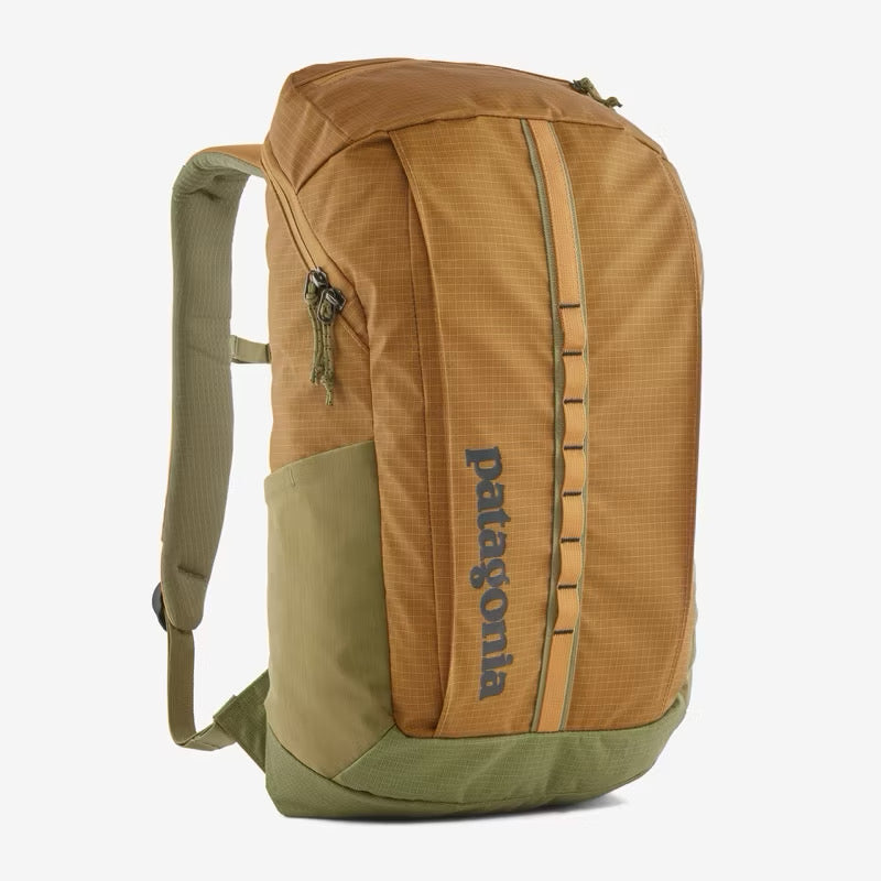 Patagonia Black Hole 25L Backpack