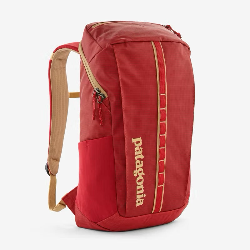 Patagonia Black Hole 25L Backpack