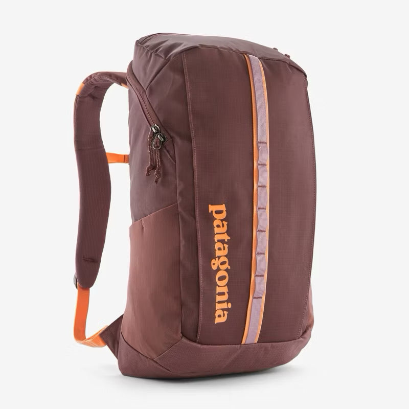 Patagonia Black Hole 25L Backpack