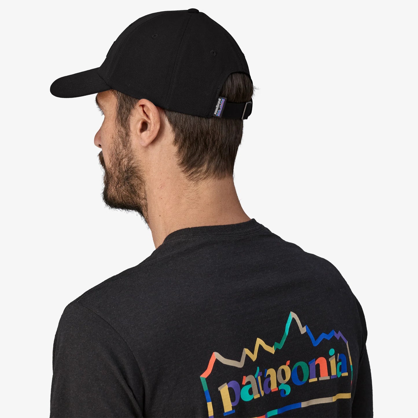 Patagonia Fitz Roy Icon Trad Cap