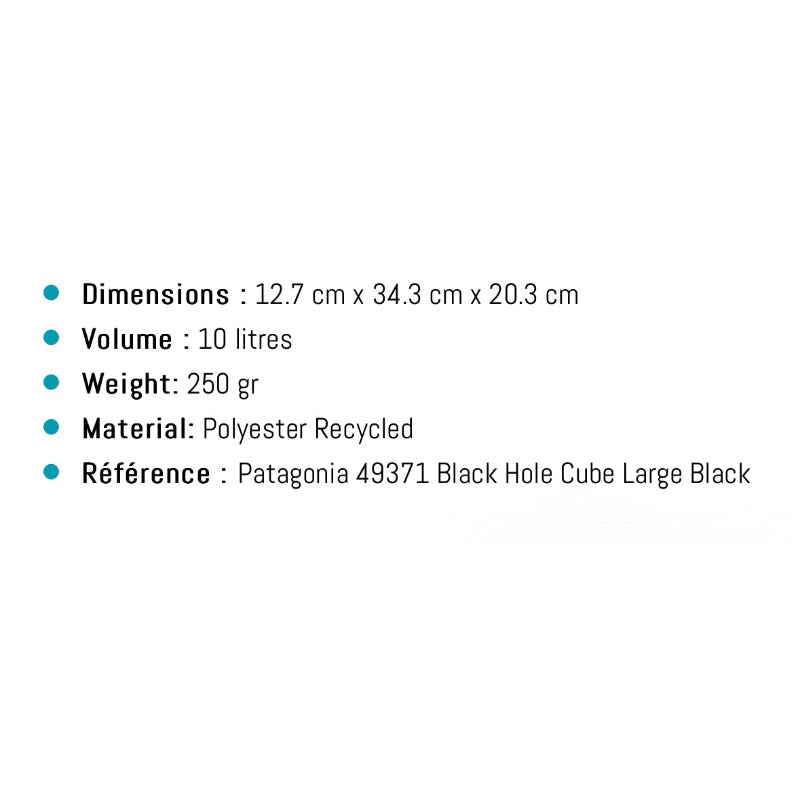 Patagonia Black Hole Cube Large (10L) - Black