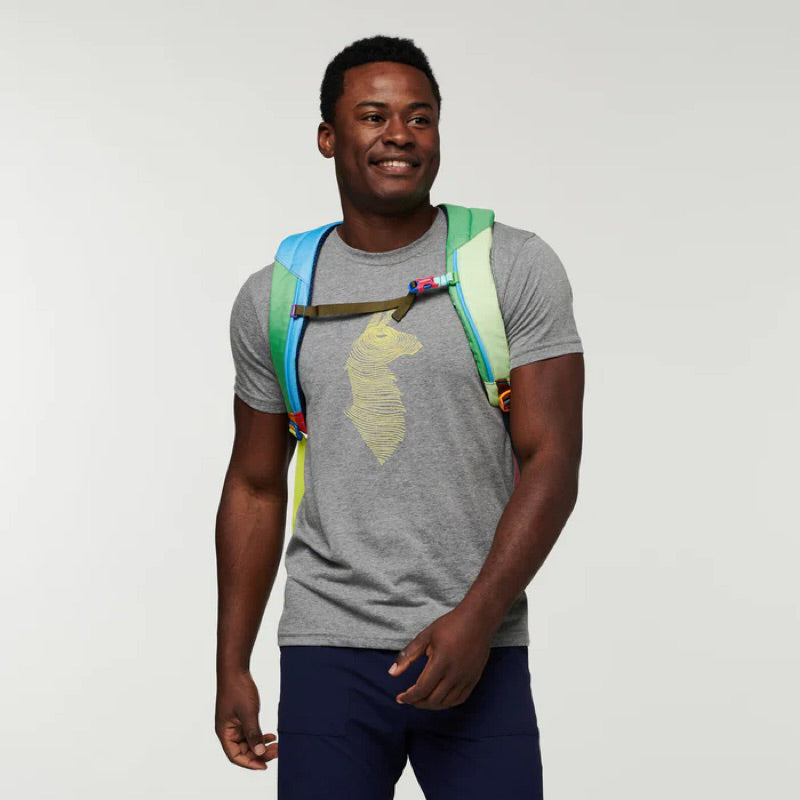 Cotopaxi Cusco 26L Backpack - Del dia