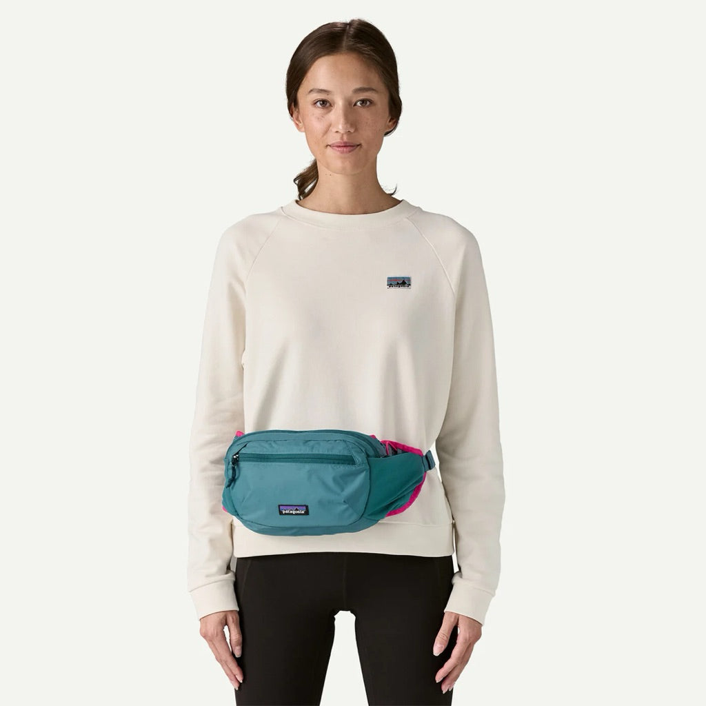 Patagonia Terravia Hip Pack 4L