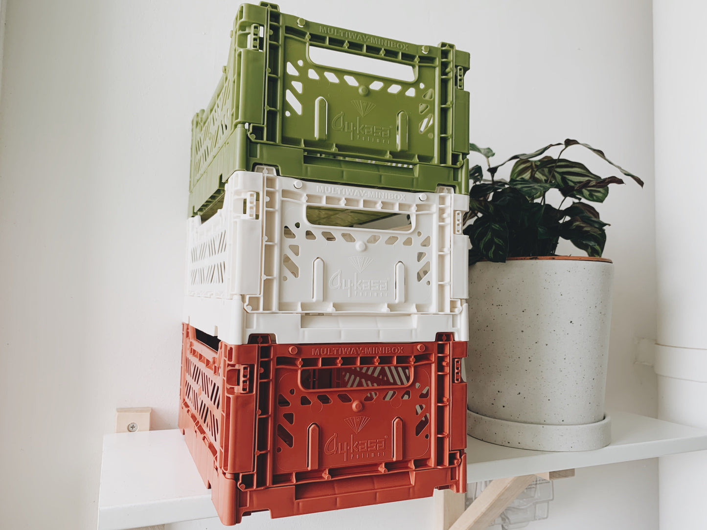 Aykasa Folding Minibox Crate