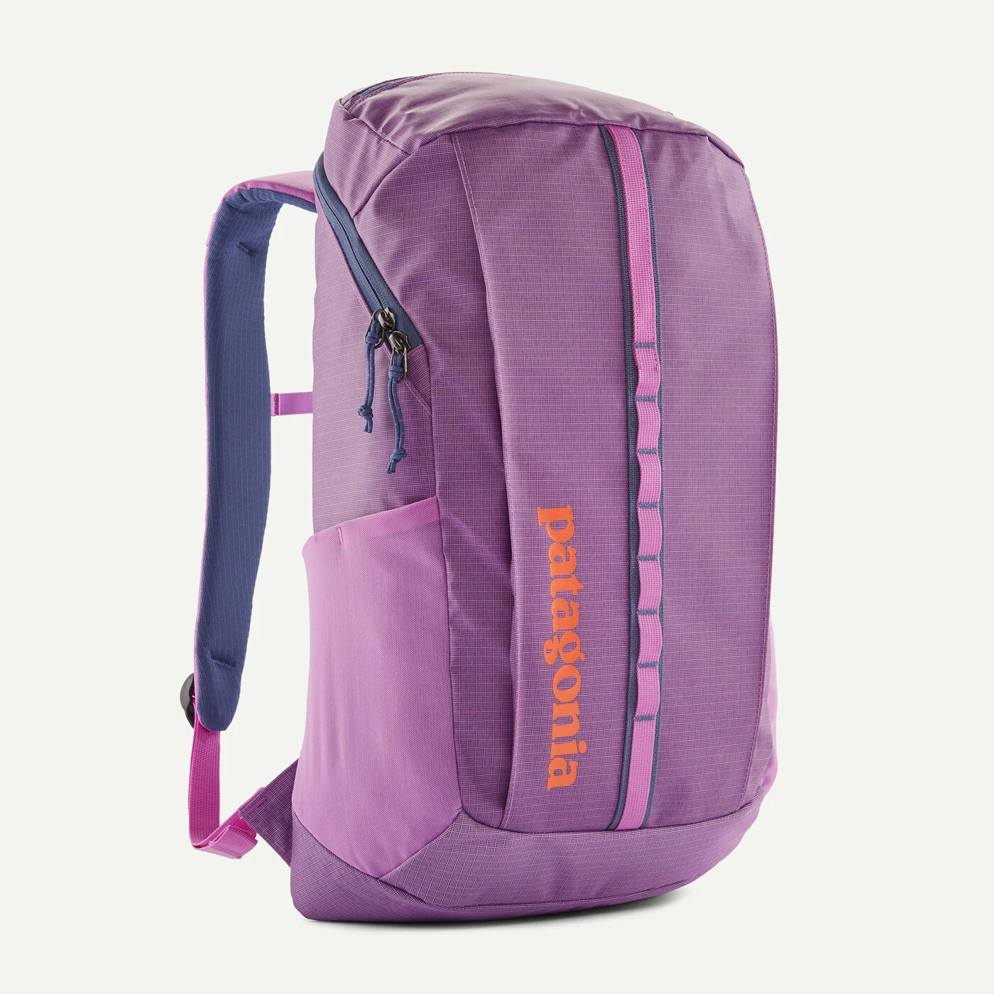 Patagonia Black Hole Backpack Bag 25L/32L