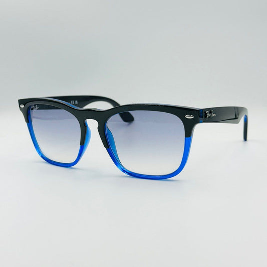 Ray-Ban RB4487 Steve