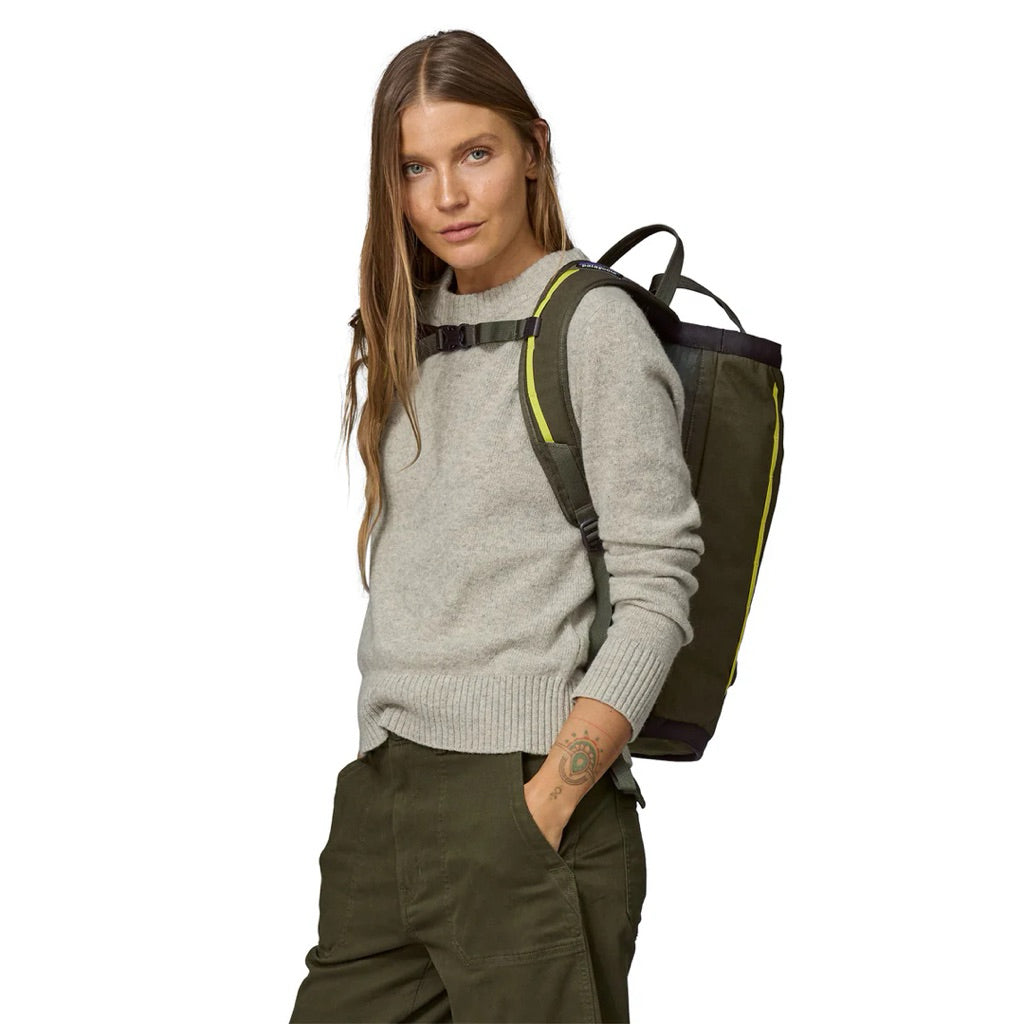 Patagonia Fieldsmith Linked Pack 24L Backpack