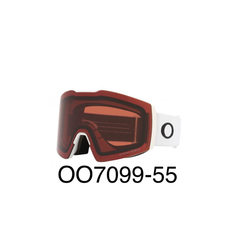 Fall Line Snow Goggles