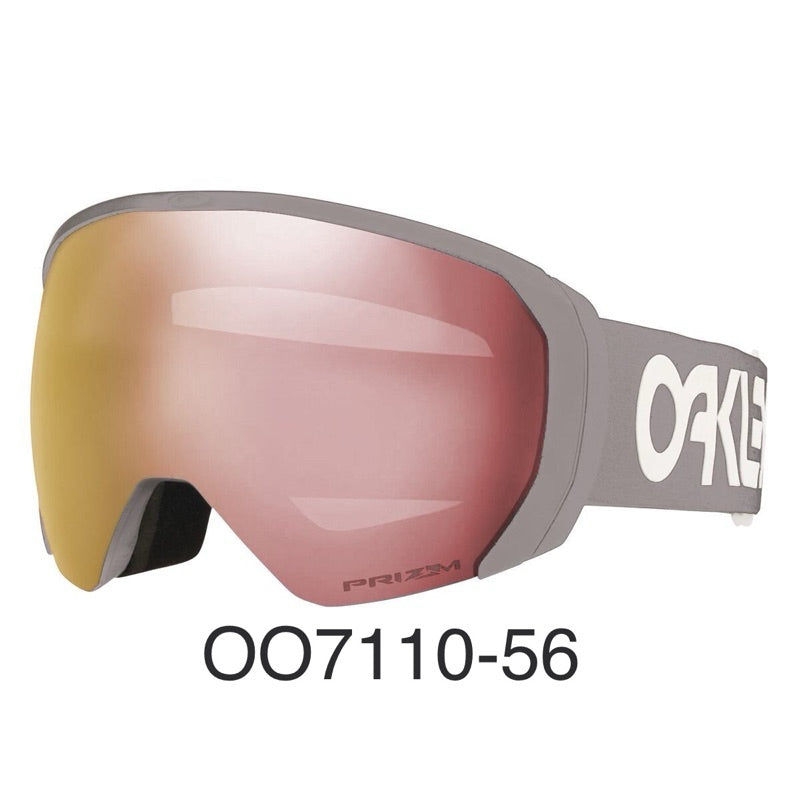 Flight Path L/XL Snow Goggles