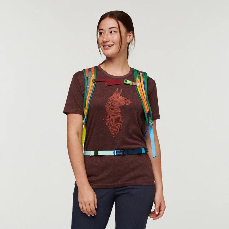 Cotopaxi Tarak 20L Backpack - Del Dia