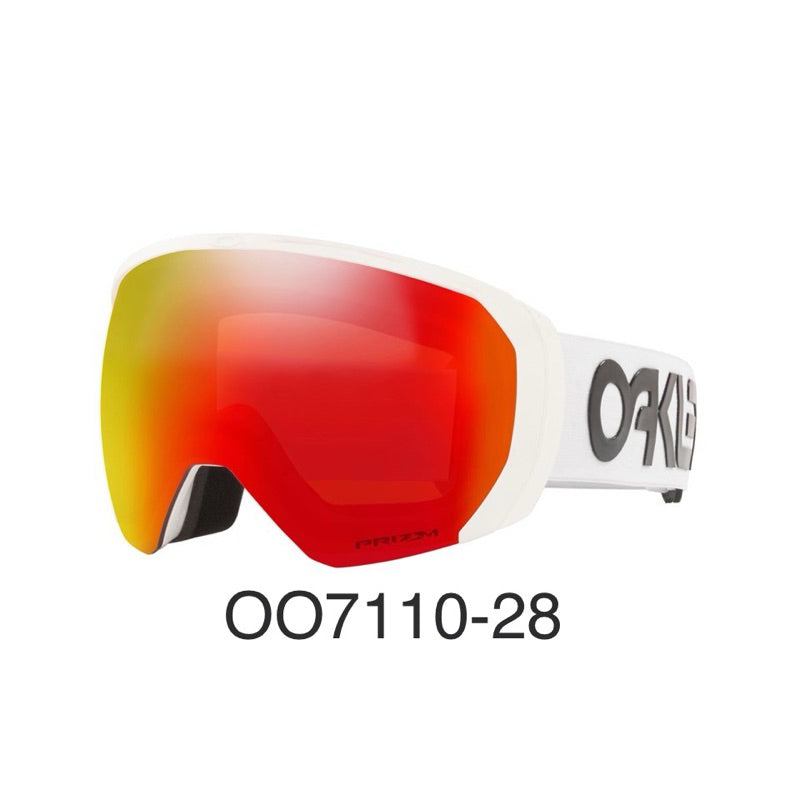 Flight Path L/XL Snow Goggles